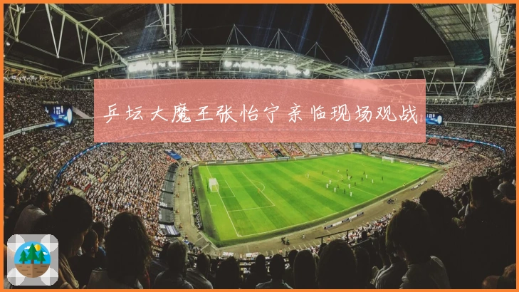 乒坛大魔王张怡宁亲临现场观战