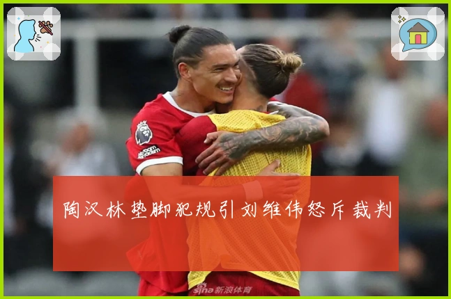 陶汉林垫脚犯规引刘维伟怒斥裁判
