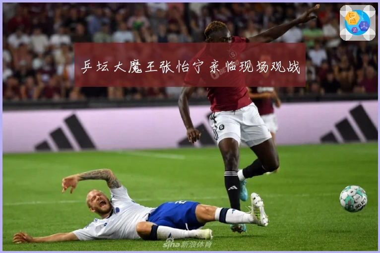 乒坛大魔王张怡宁亲临现场观战